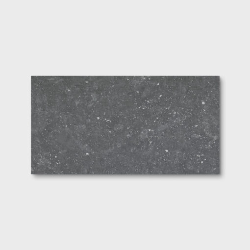 Moon Stone Dark Grey External Tile 300X600