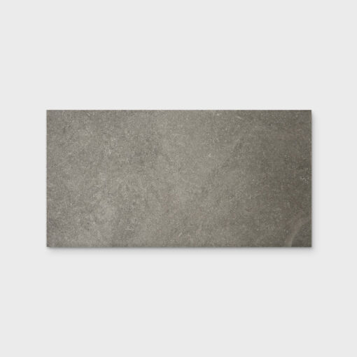 T-Stone Ash Brown Matt Tile 300X600