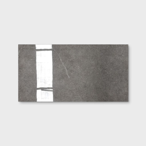 T-Stone Grey Polished Tile 300X600