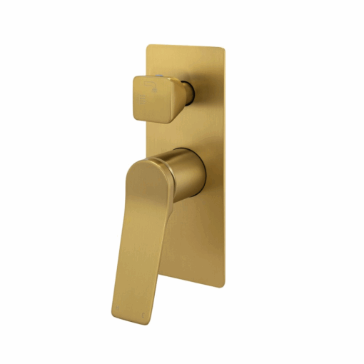 RSH Brushed Yellow Gold Diverter Mixer